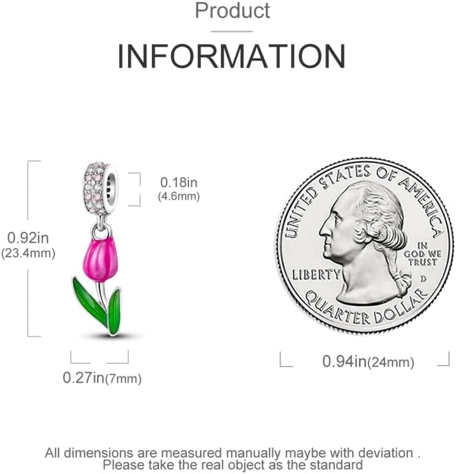 CYCUFF Store 925 Sterling Silver Charms Suitable for Charm Necklaces, Bracelet Pendants Beads Jewellery Gift for Women Family Friends - Image 3
